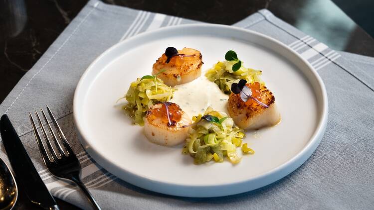 Scallops on a white dish