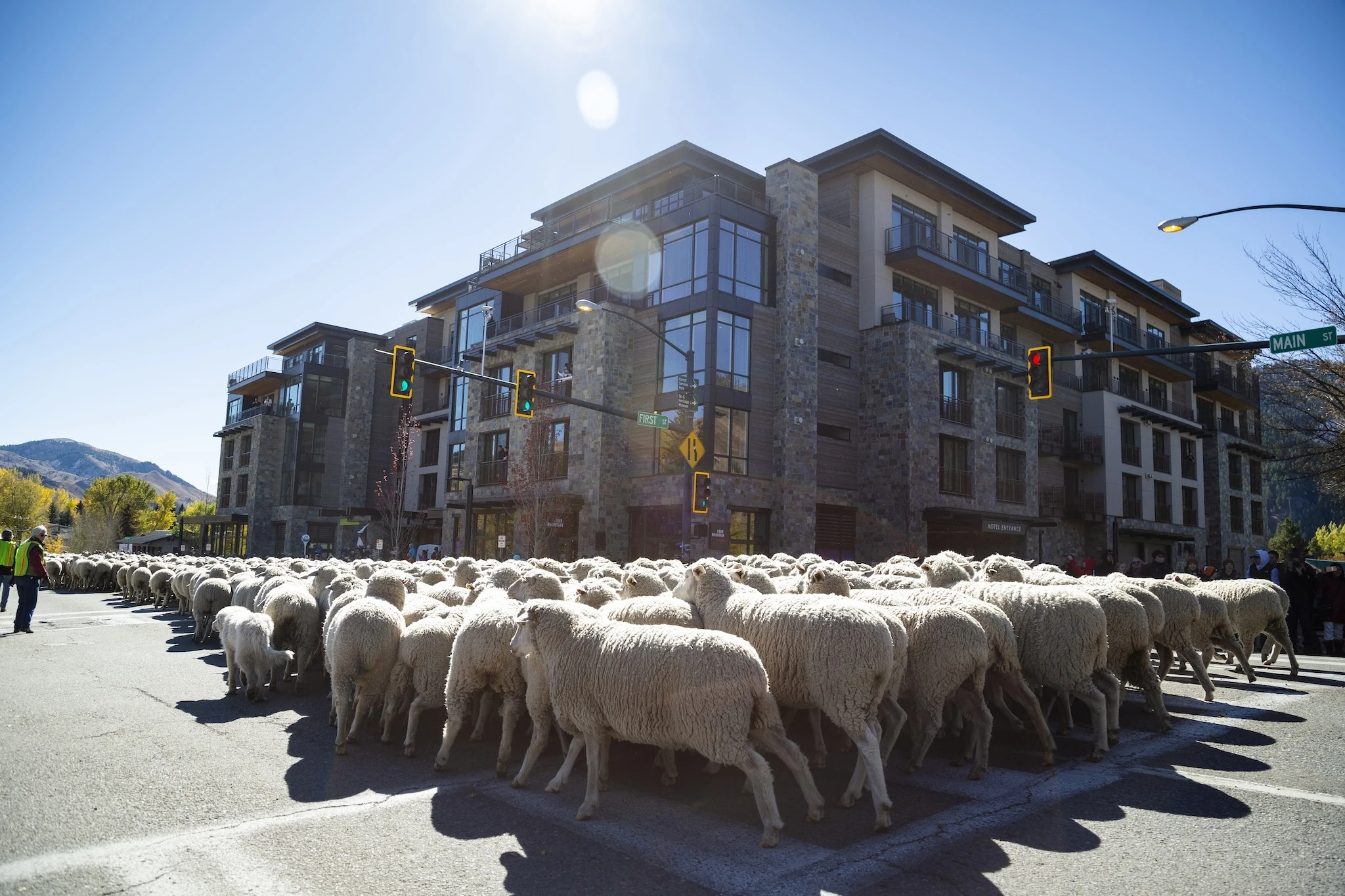 Trailing of the Sheep Festival in Idaho&rsquo;s Wood River Valley