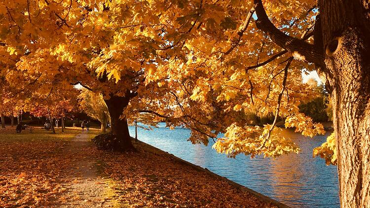Fall landscape Fall landscape