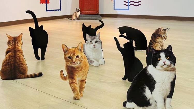 Bring your cat obsession to the Thai Stamp Museum's 1,000-cat stamp show
