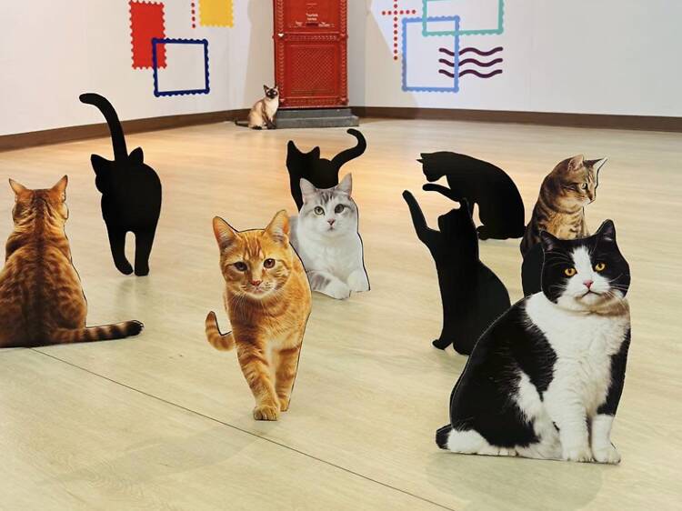 Bring your cat obsession to the Thai Stamp Museum's 1,000-cat stamp show