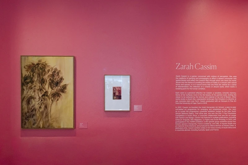 Cassim&rsquo;s paintings invite guests to encounter her approach to landscape, perception and the spaces between reality and imagination.