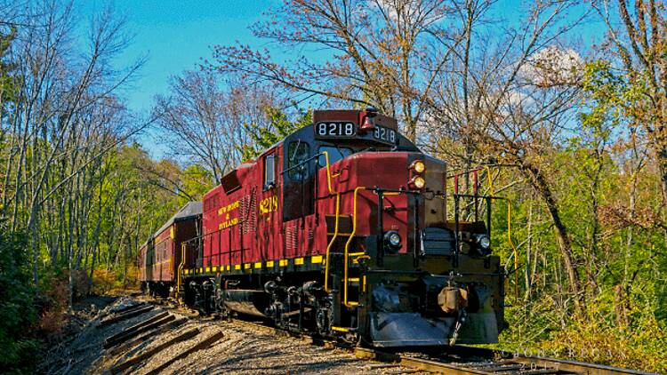 New Hope Railroad "Speakeasy Train" New Hope Railroad "Speakeasy Train"