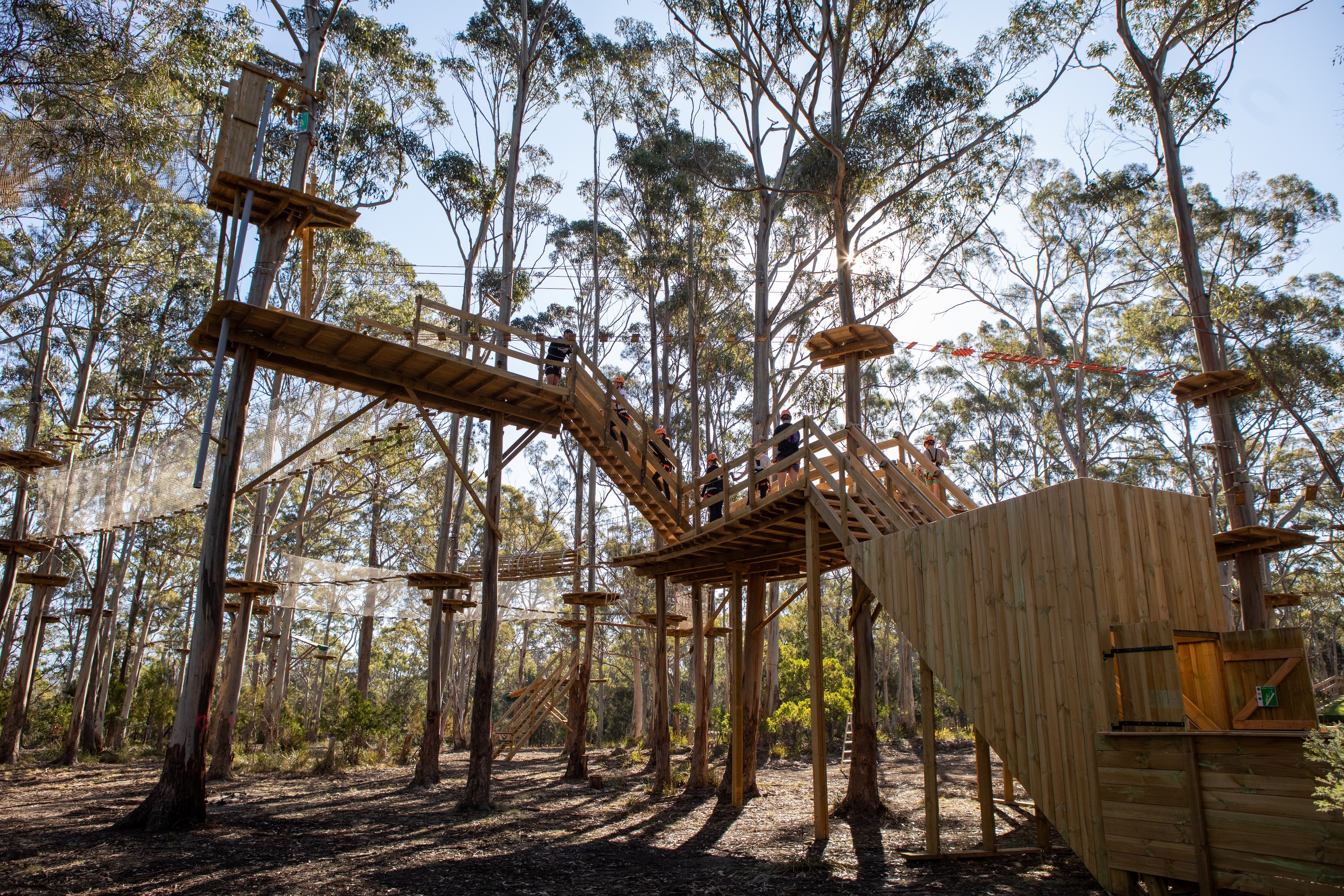 Take the leap! Hobart is now home to the highest Tarzan swing in Australia