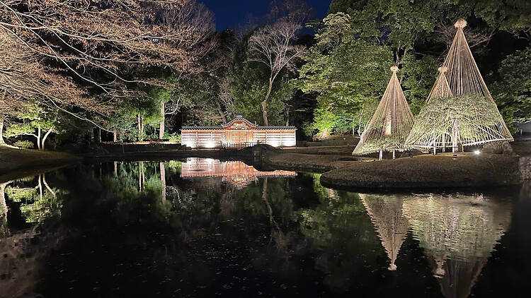 夜間特別開園 小石川後楽園 深山光葉を楽しむ