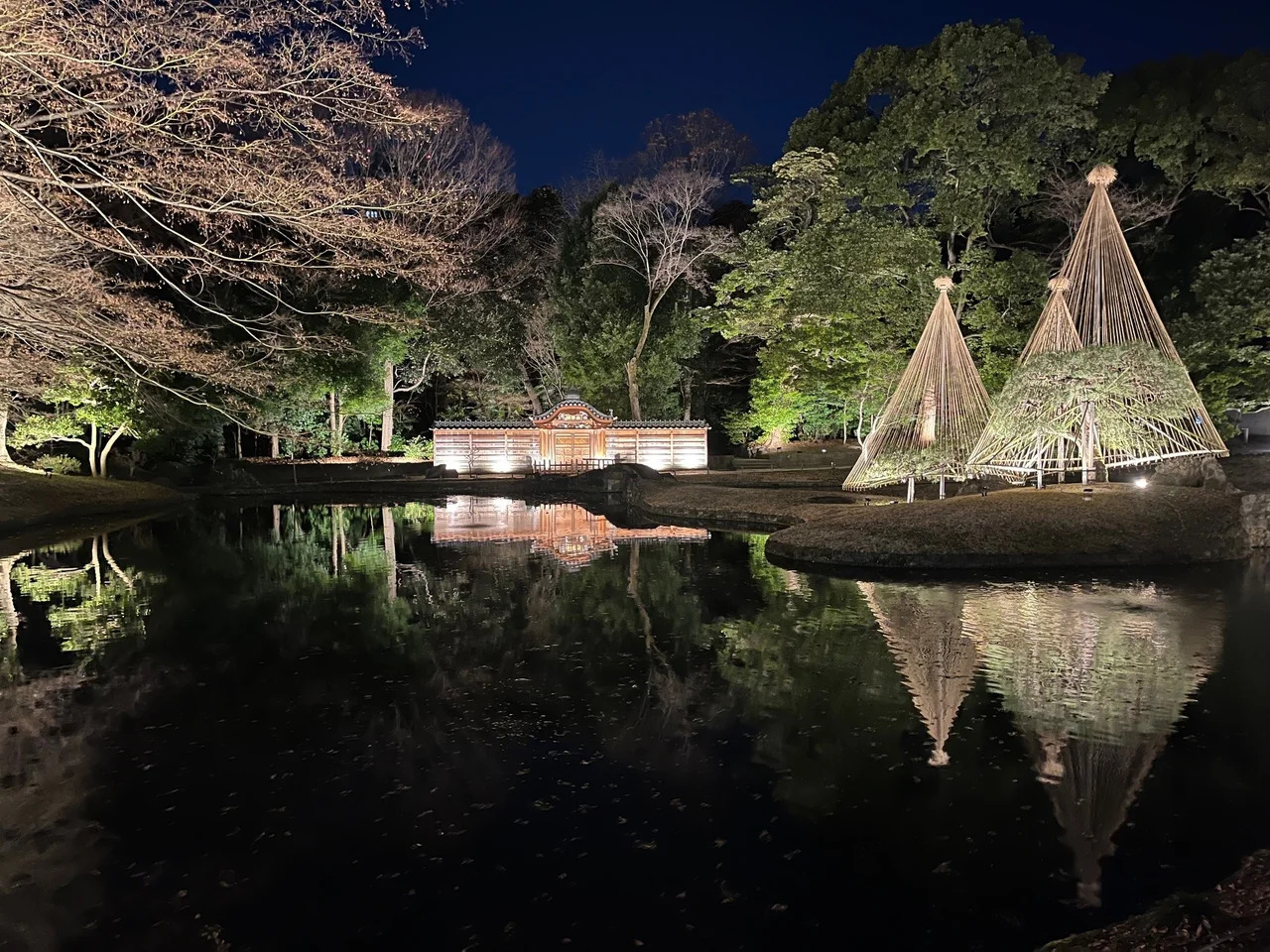 ■極希少 江戸前期■石川県能登 合鹿丸盆 合鹿地方 古根来 上部直径約32ｃｍ 夜間特別開園 小石川後楽園 深山光葉を楽しむ