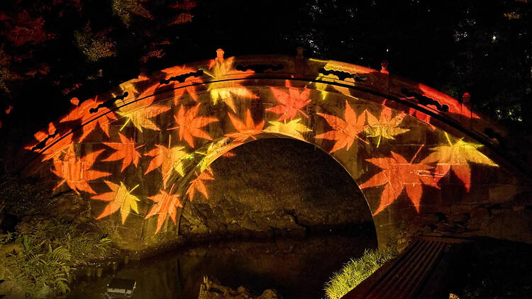 夜間特別開園 小石川後楽園 深山光葉を楽しむ
