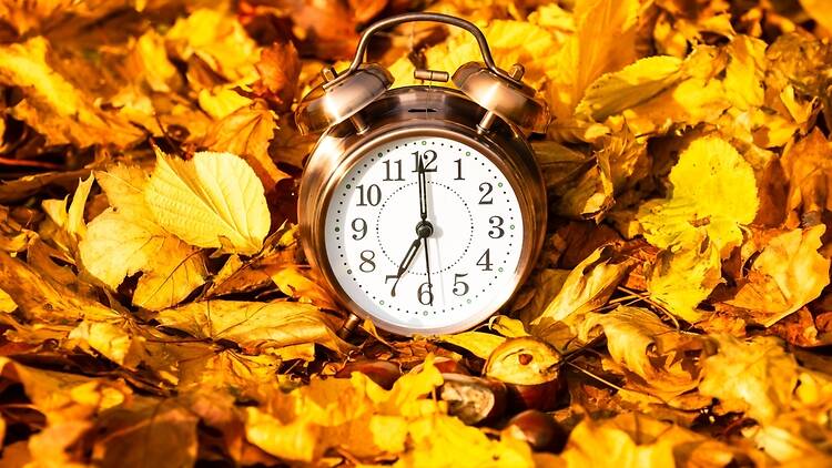 Clock and autumn leaves Clock and autumn leaves