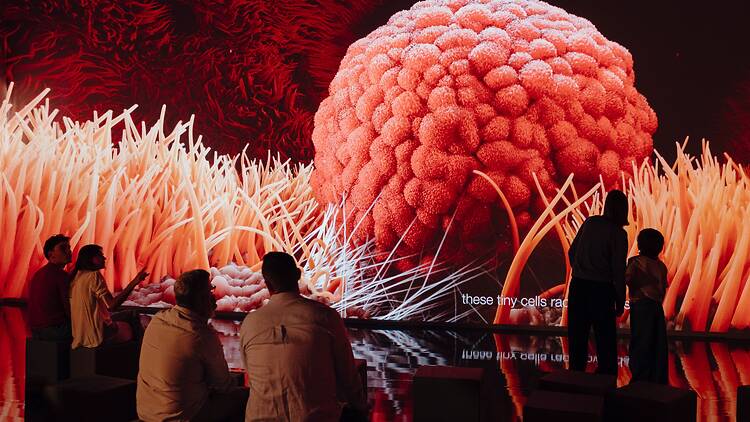 Human Universe-The Experience Human Universe-The Experience