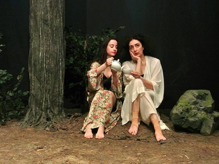 The Forest