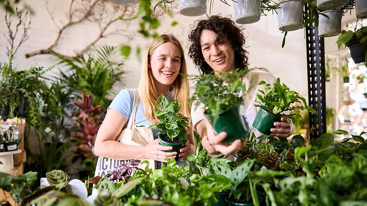 The Spring Series at Queen Victoria Market featuring shoppers admiring new leafy greens