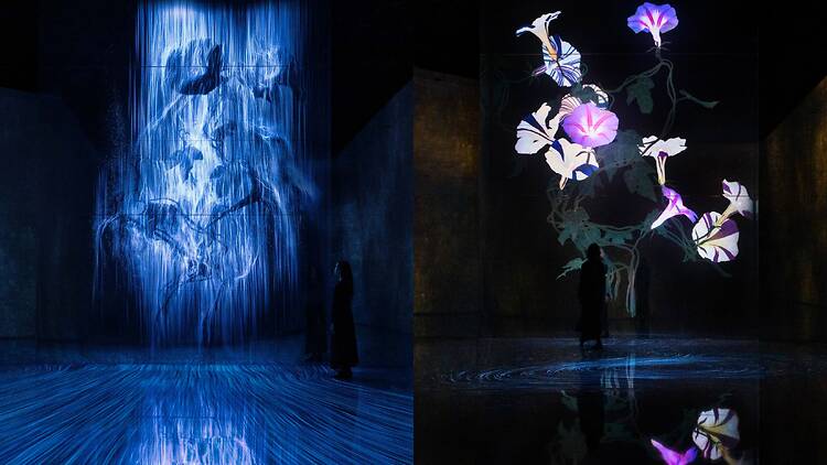 Step into the new immersive artworks at teamLab Future World Step into the new immersive artworks at teamLab Future World