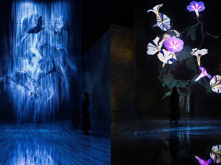 Step into the new immersive artworks at teamLab Future World Step into the new immersive artworks at teamLab Future World