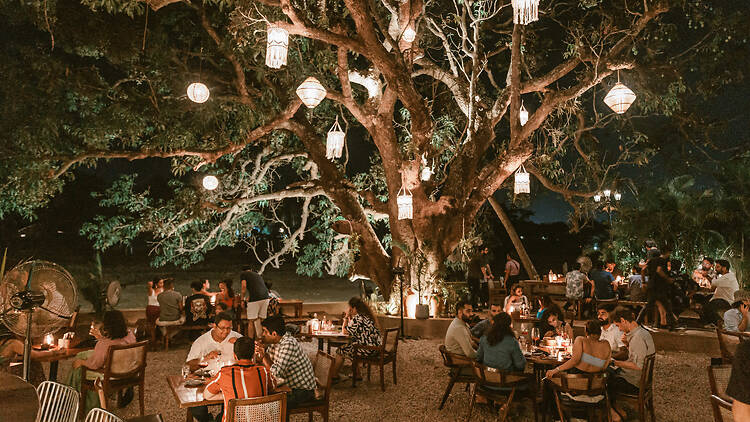 Elephant & Co. Elephant & Co.