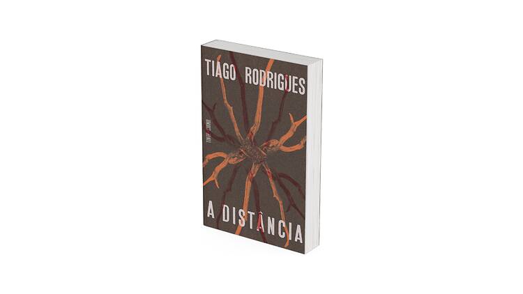 A Distância A Distância