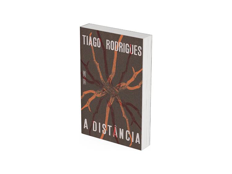 A Distância A Distância
