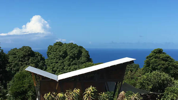 Best for animal lovers: The Kona farm cabin