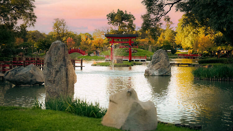 Jardín Japonés + Arte Culinario Jardín Japonés + Arte Culinario