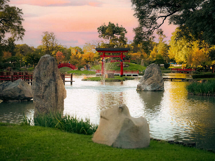 Jardín Japonés + Arte Culinario Jardín Japonés + Arte Culinario