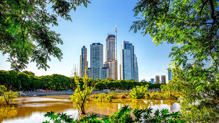 Puerto Madero + Reserva Ecológica Costanera Sur Puerto Madero + Reserva Ecológica Costanera Sur