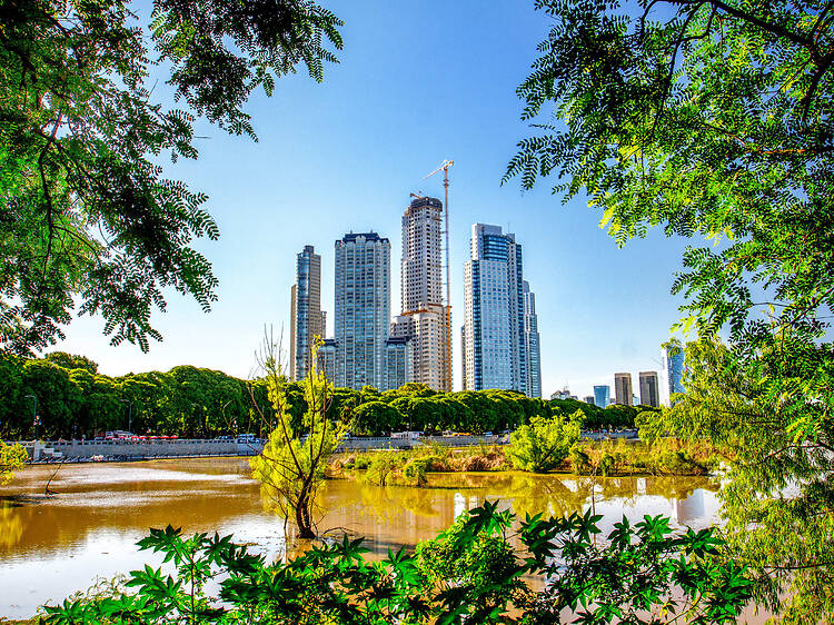 Puerto Madero + Reserva Ecológica Costanera Sur Puerto Madero + Reserva Ecológica Costanera Sur