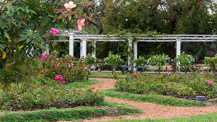 11 planes para festejar el Día de la Primavera en Buenos Aires