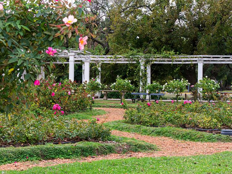 11 planes para festejar el Día de la Primavera en Buenos Aires