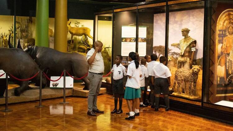 Let them explore future careers at the KZN Museum Let them explore future careers at the KZN Museum