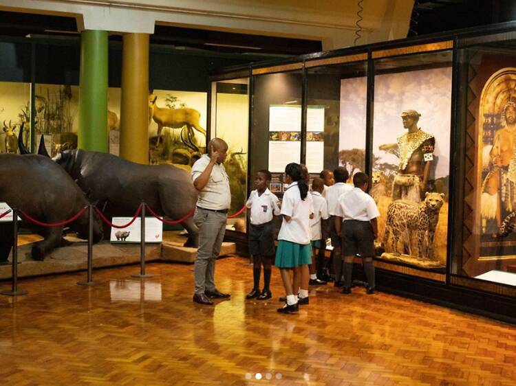 Let them explore future careers at the KZN Museum Let them explore future careers at the KZN Museum