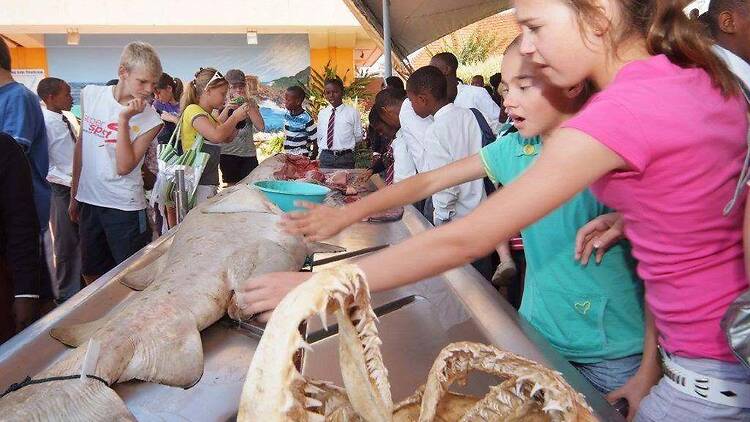 See what lies beneath Durban’s waves See what lies beneath Durban’s waves