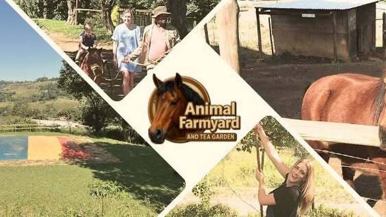 Spend a morning at the Animal Farmyard Spend a morning at the Animal Farmyard