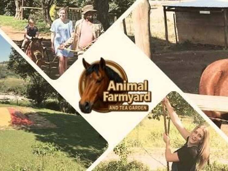 Spend a morning at the Animal Farmyard Spend a morning at the Animal Farmyard