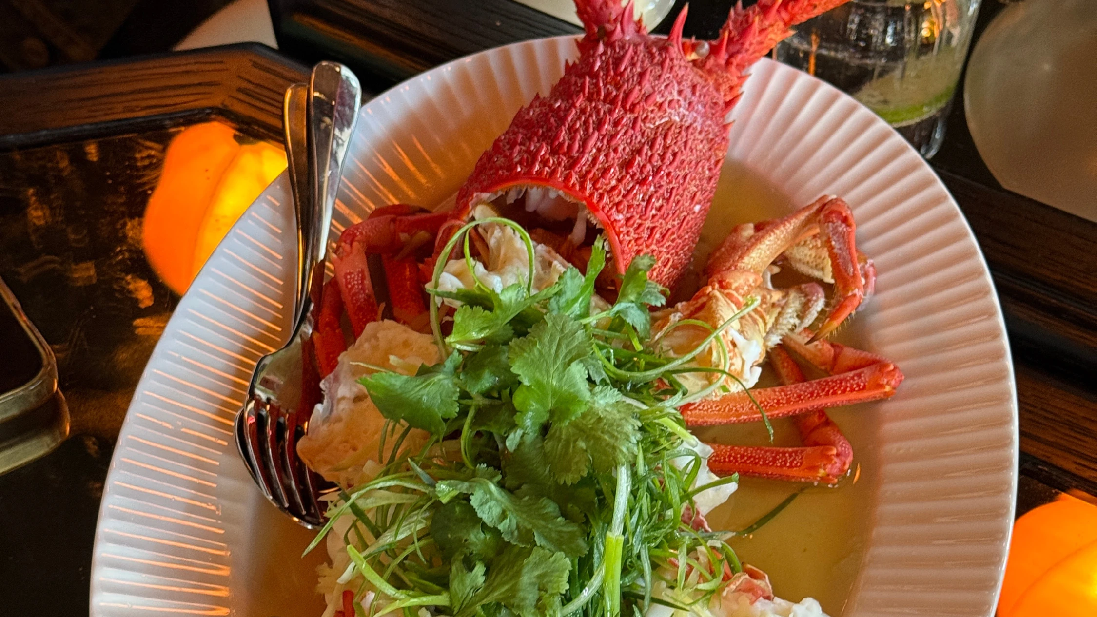 Lobster at Stanley Manly Wharf