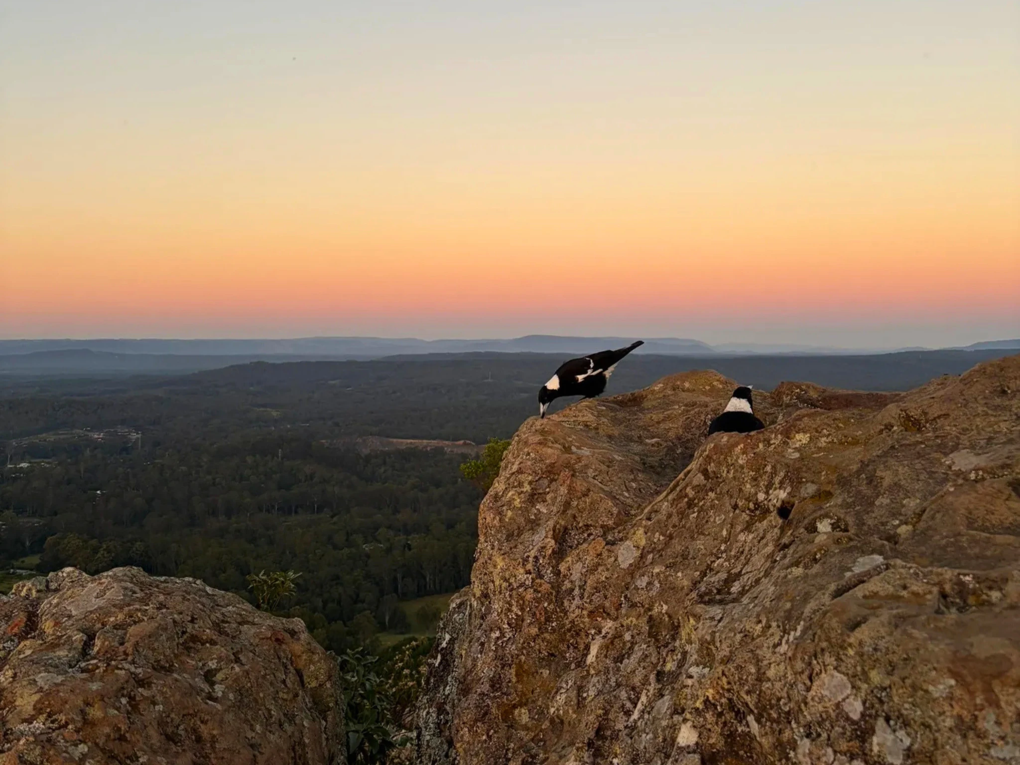 Mount Ngungun Summit Track at sunrise