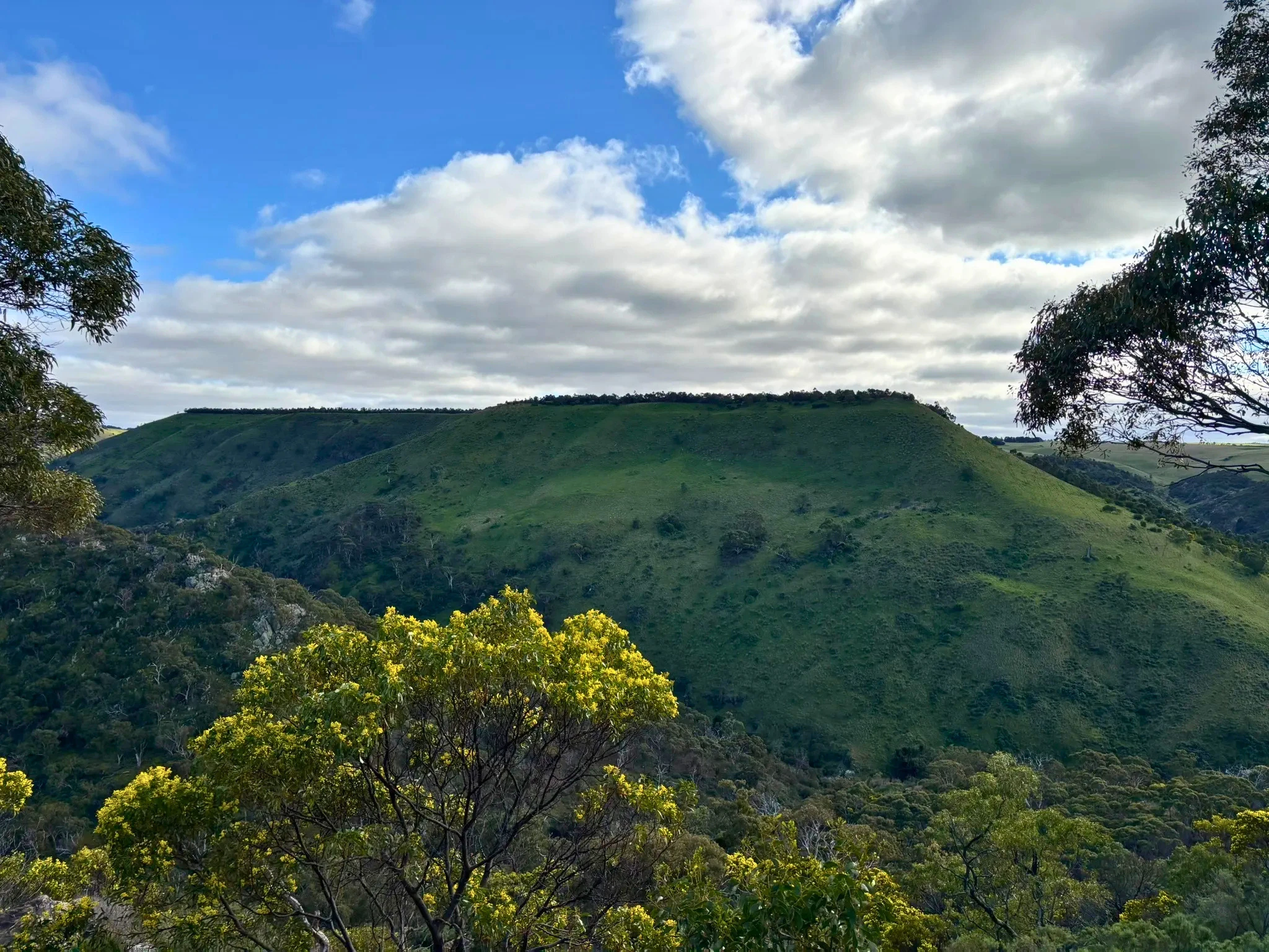 Werribee Gorge Circuit Walk view