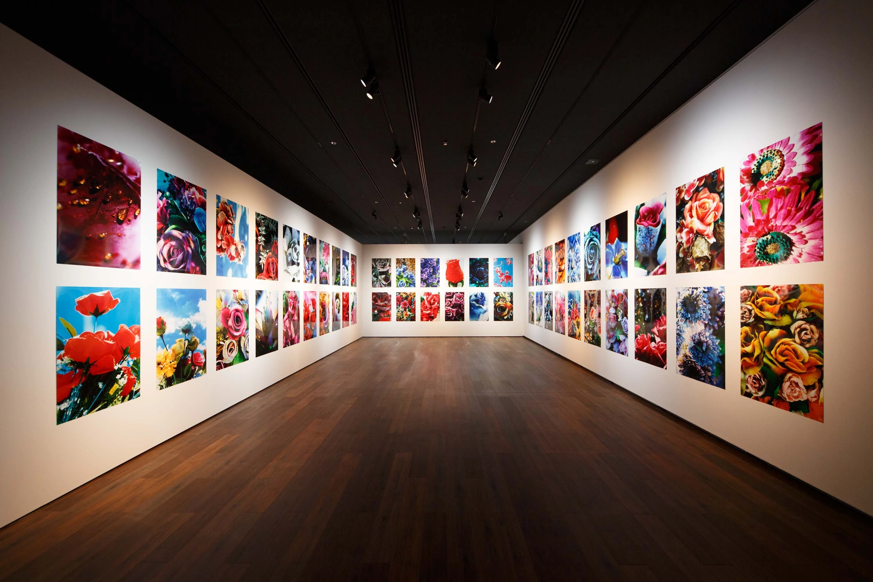 「蜷川実花展　はじまりの光」