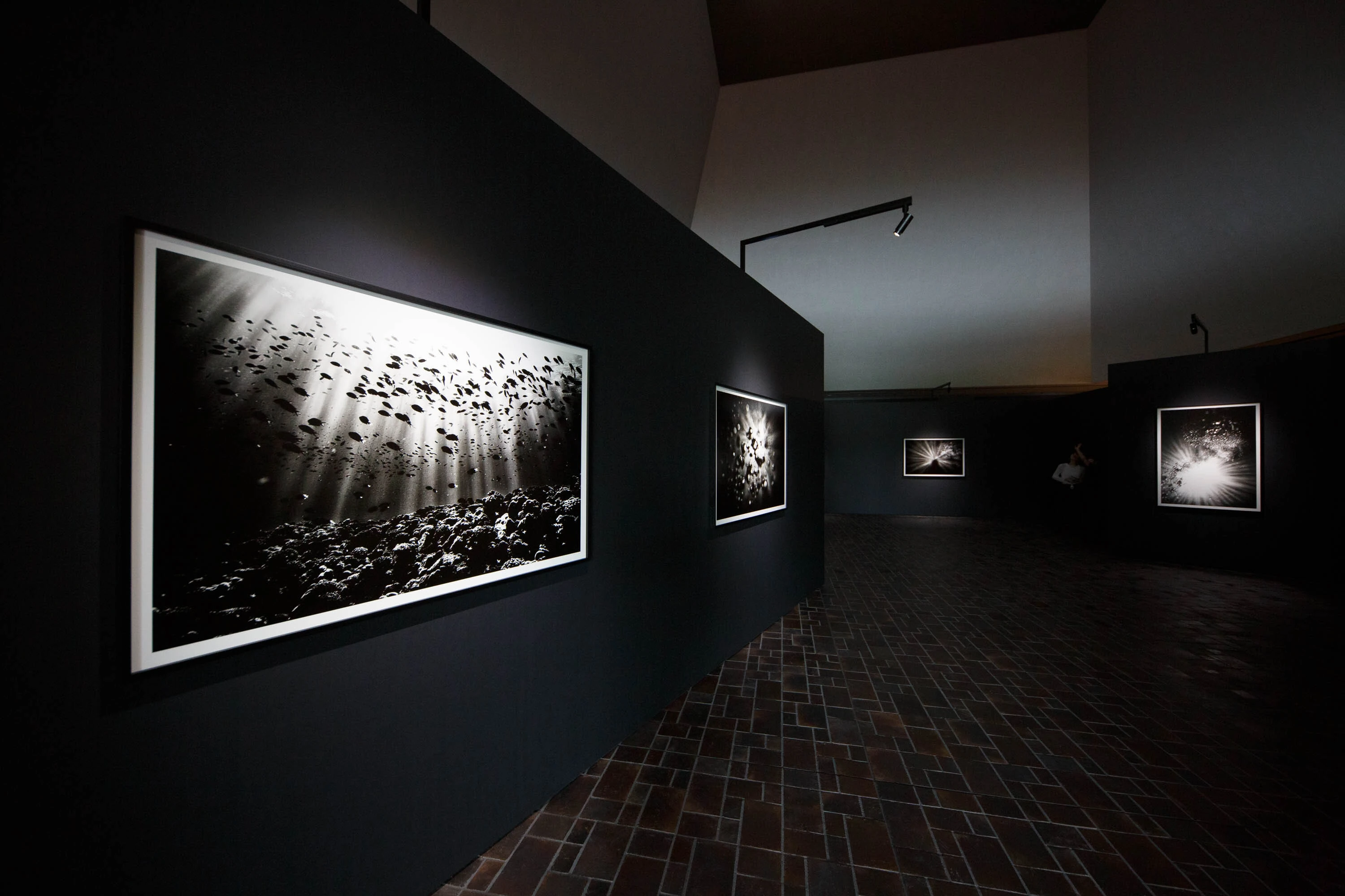 「蜷川実花展　はじまりの光」