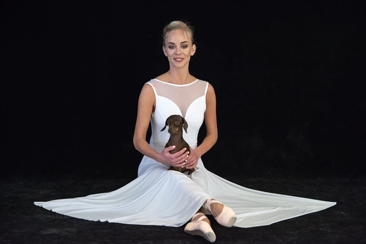 Love dogs? Love ballet? Look no further!