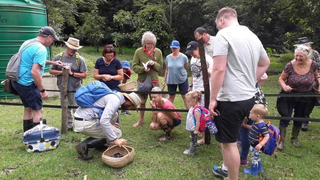 Learn all about fungi from this fun guy!