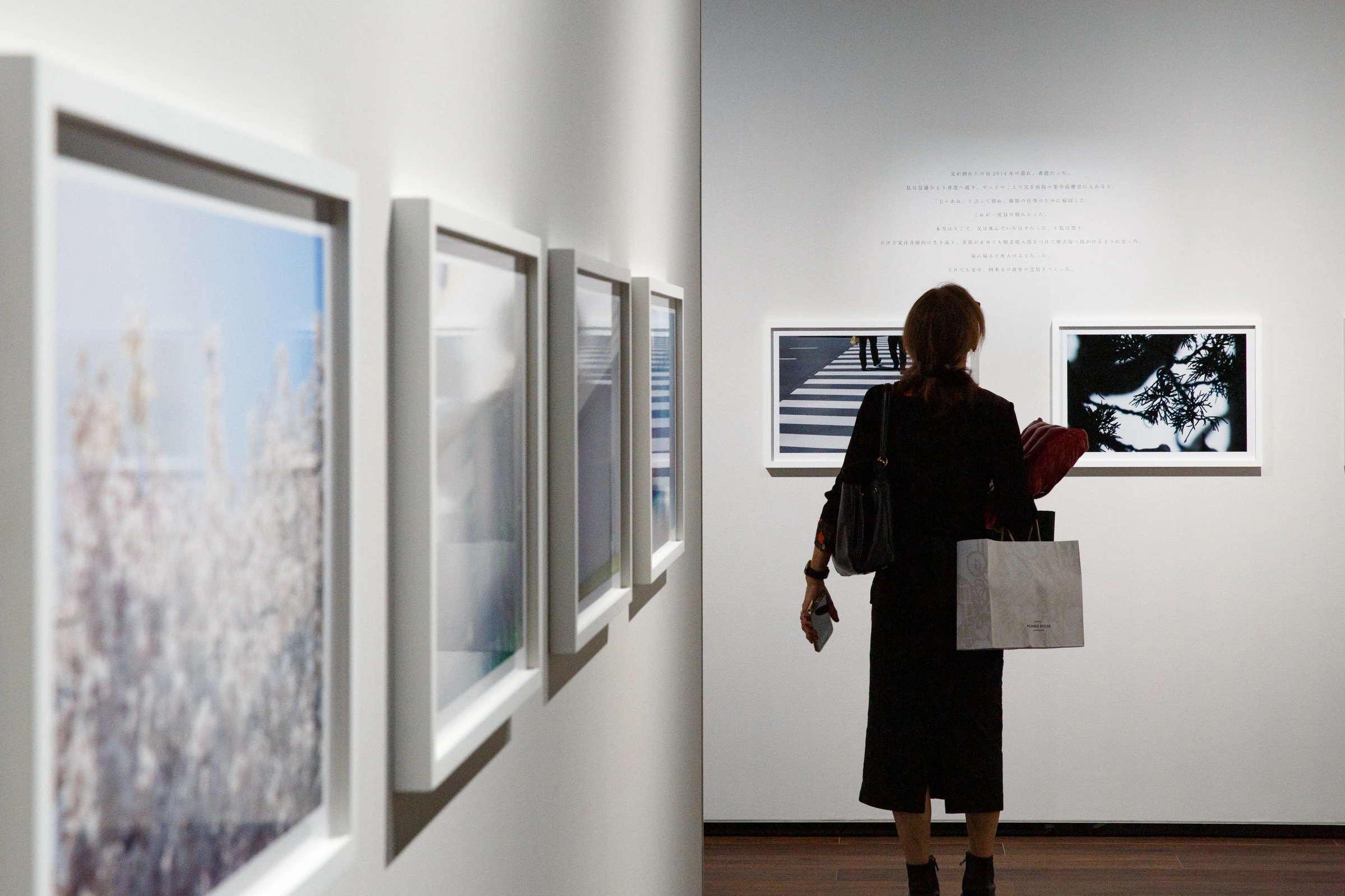 「蜷川実花展　はじまりの光」
