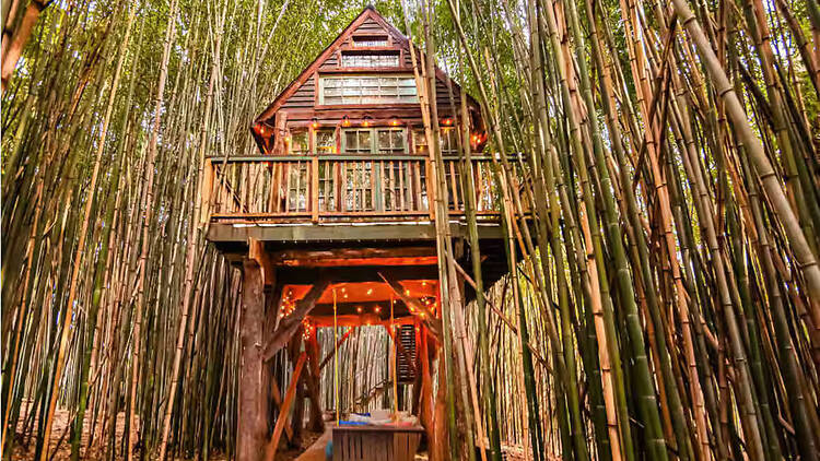 Best for animal lovers: The treehouse on an alpaca farm