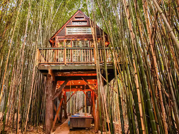 Best for animal lovers: The treehouse on an alpaca farm