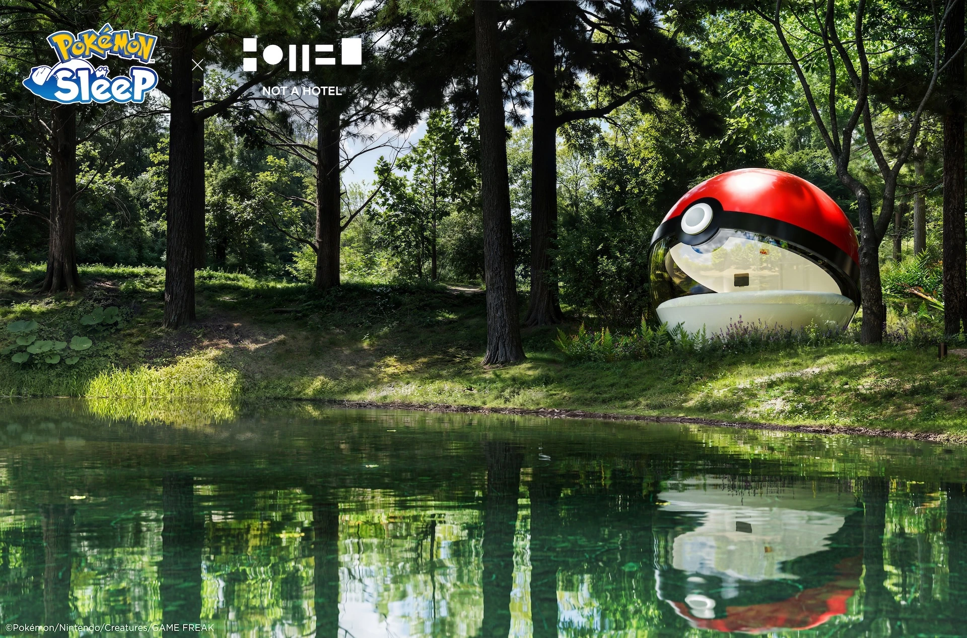 Poke Ball Hotel