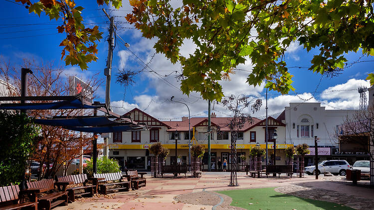 Farlay St Piazza, Stanthorpe Farlay St Piazza, Stanthorpe