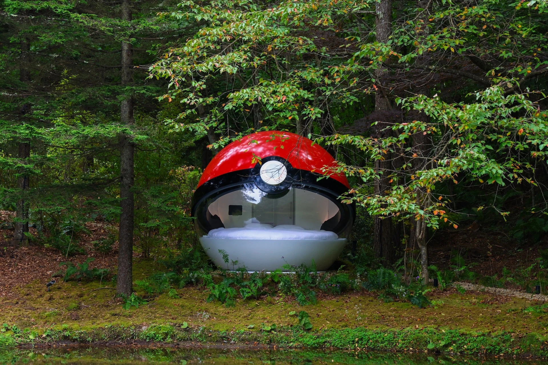 Pok&eacute; Ball Hotel
