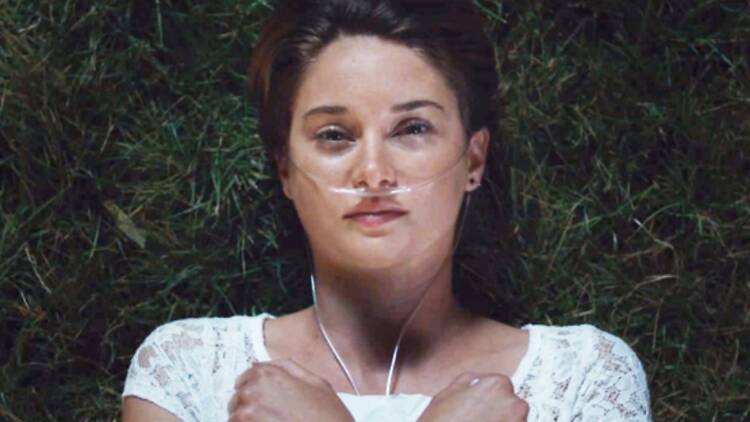 The fault in our stars (2014)