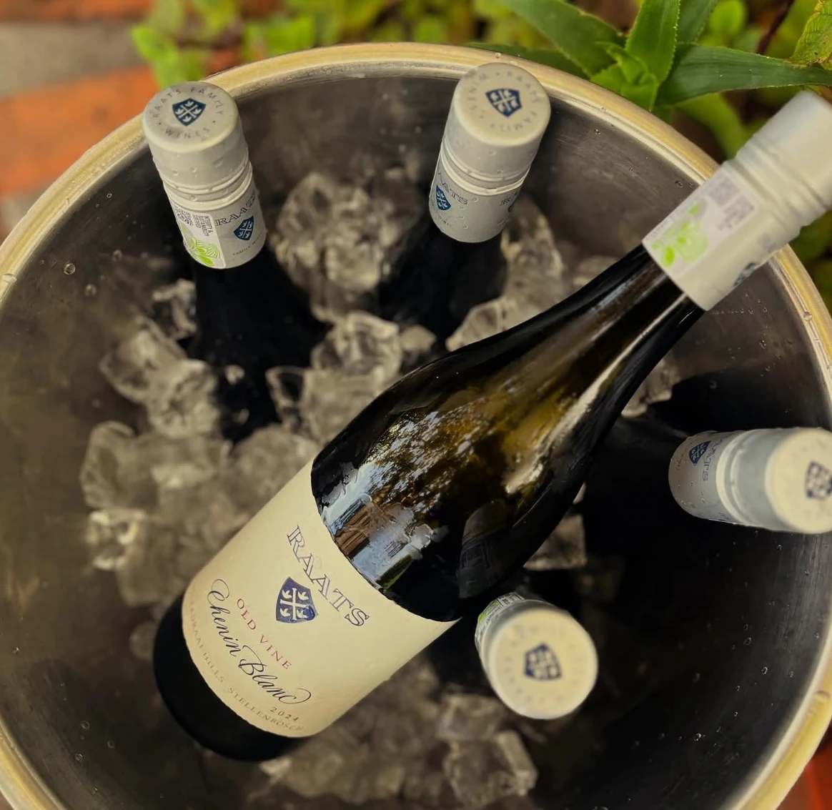 Raats Family Wines