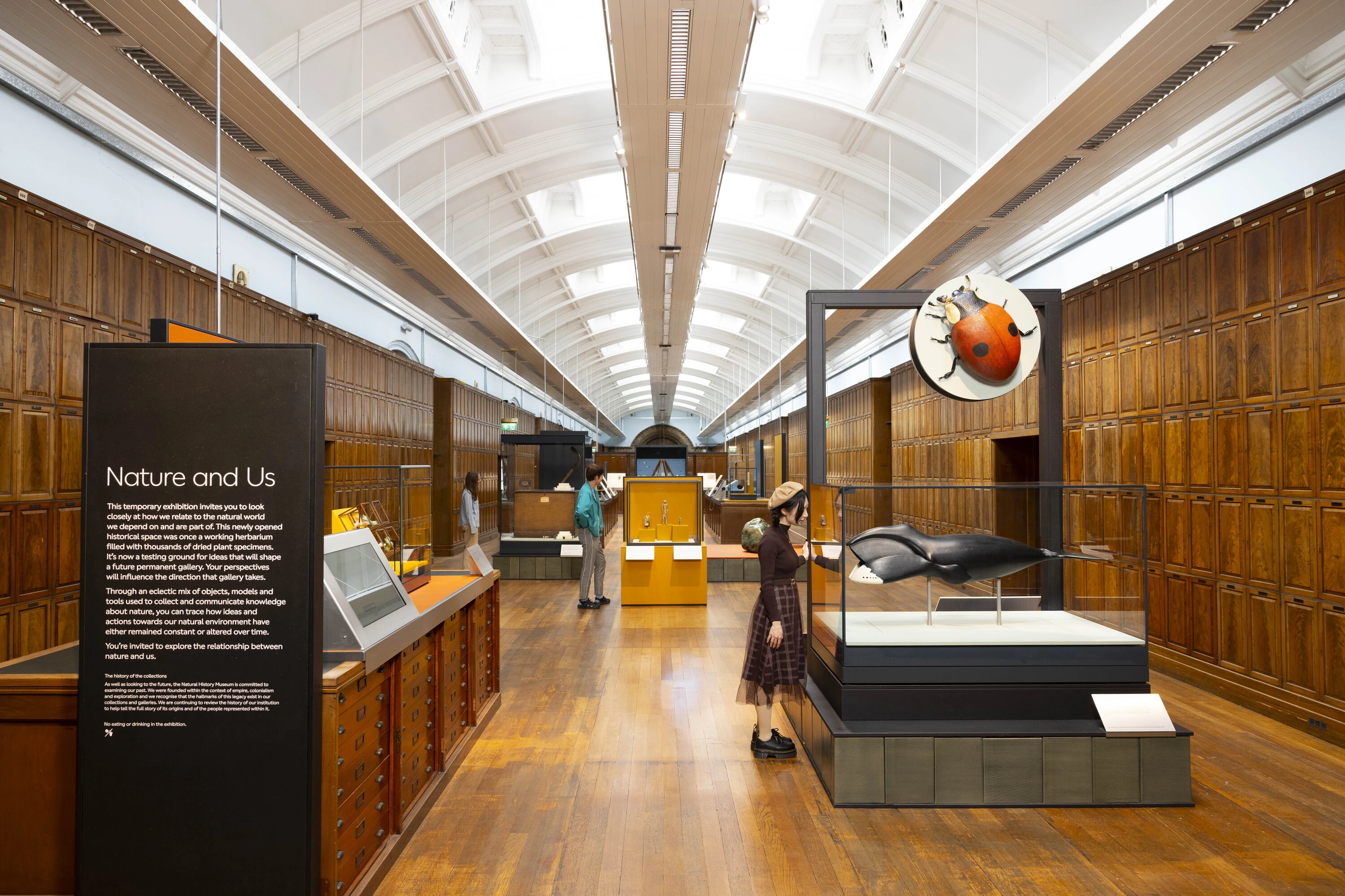 Nature and Us gallery, Natural History Museum, 2026