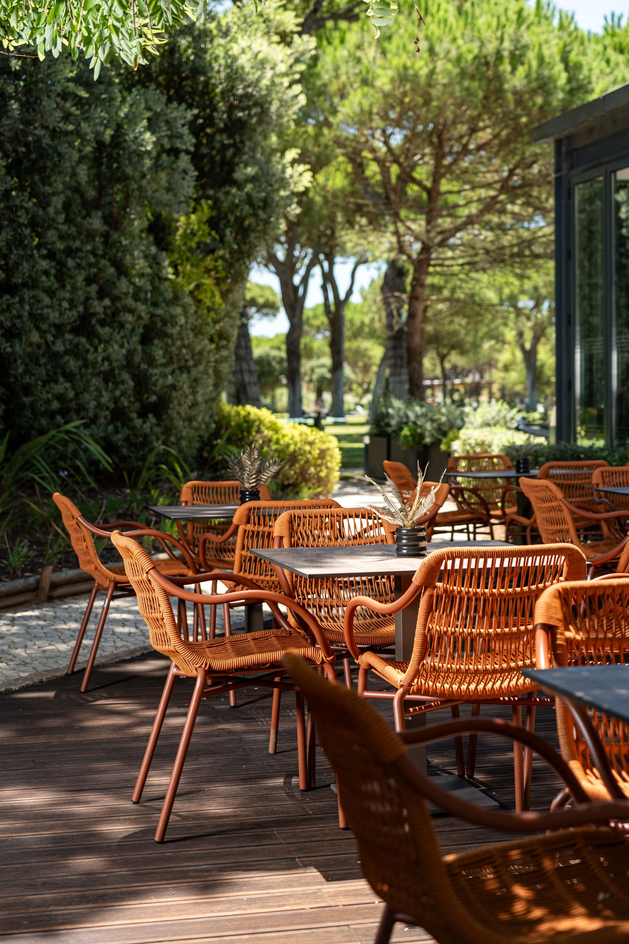 MIMO Caf&eacute;