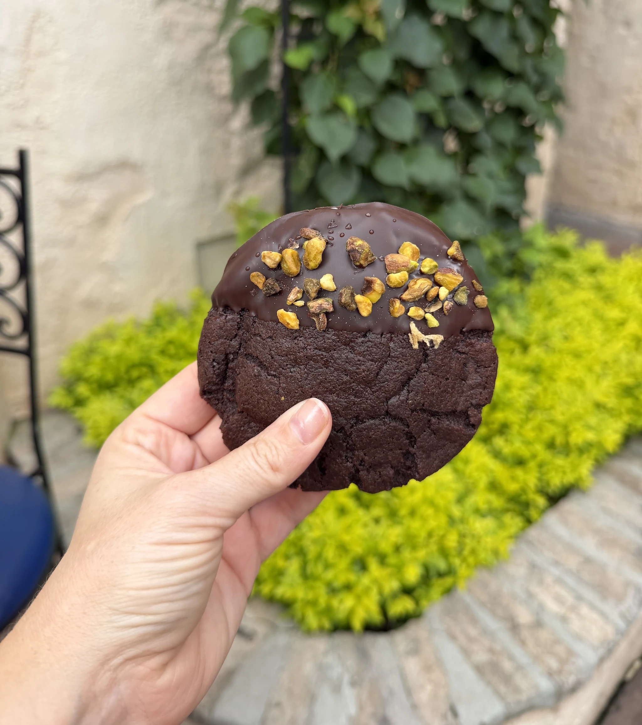 EPCOT International Food & Wine Festival
